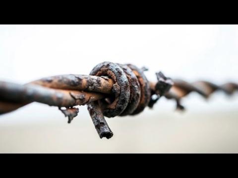 AI Generated Visual Experimentation - L'Amore è una Pozzanghera di Pioggia