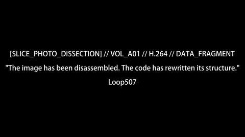 [SLICE_PHOTO_DISSECTION] // VOL_A01 // H.264 // DATA_FRAGMENT