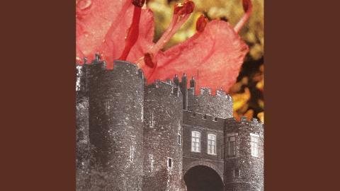 Deerhunter - Agoraphobia