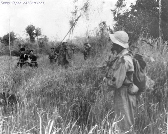 Vietnam War in 48 Photos by Vietcong Photographers [Images Gallery from ...